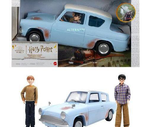 HARRY POTTER AUTOVOLANTE HARRY E RON HHX03