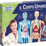 SCIENZAGIOCO IL CORPO UMANO 13964 /