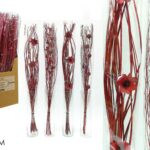 MAZZO FIORI SECCHI 100CM ROSSO 4ASS PALB