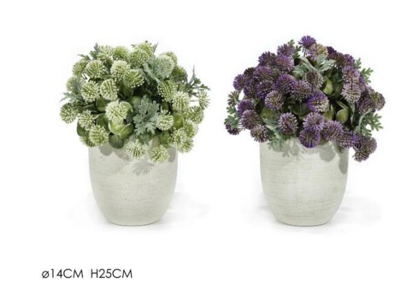 VASO C/PIANTA Ã˜14XH25CM 2ASS ART.510502