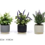 VASO C/PIANTA Ã˜12XH18CM 3ASS ART.747179