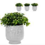 VASO C/PIANTA VISO Ã˜14XH32CM 4ASS ART.747199