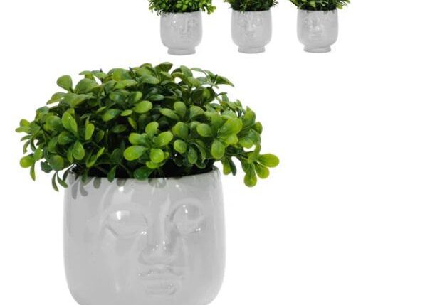 VASO C/PIANTA VISO Ã˜14XH32CM 4ASS ART.747199