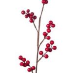 RAMOSCELLO NAT X DECORAZ ROSSO CM50 ART.41148