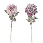 DALIA INNEVATA 2 COL.CM 73
