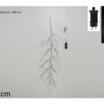 RAMO SILVER 60LUCI LED BIANCO FREDDO ESTERNO YC-60B-S@