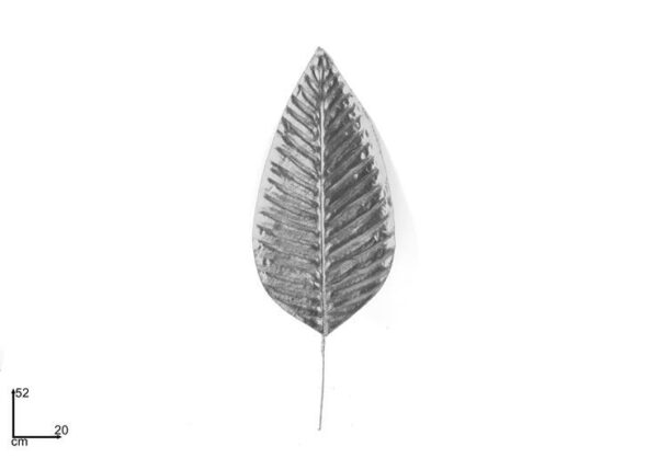 FOGLIA DECORATIVA GRANDE SILVER ART.PL19S70186/SILVER
