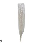 MAZZO RAMI BIANCHI INNEVATI ART.01-3758/WHITE WASH WITH SNOW