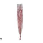MAZZO RAMI ROSSI INNEVATI ART.01-3758/RED WITH SNOW
