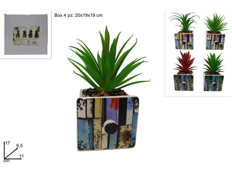 VASO QUADRATO CERAMICA CON PIANTINA GRASSA 4 COLORI BSDXD23401 VASO QUADRATO CERAMICA CON PIANTINA GRASSA 4 COLORI BSDXD23401