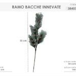 RAMO BACCHE INN.384036