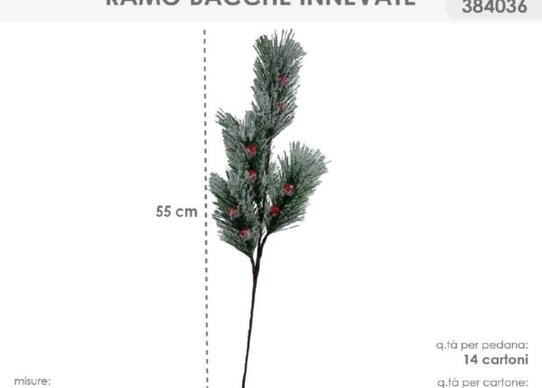 RAMO BACCHE INN.384036