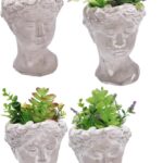 VASO C/PIANTE GRASSE