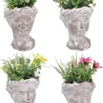 VASO VISO C/PIANTA