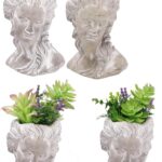 VASO VISO C/PIANTA GRASSA