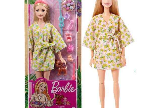 BARBIE DOLL AND ACCESSORIES