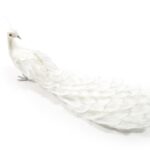 PAVONE BIANCO IN PIUME 60X10XH24CM ART.62229 -