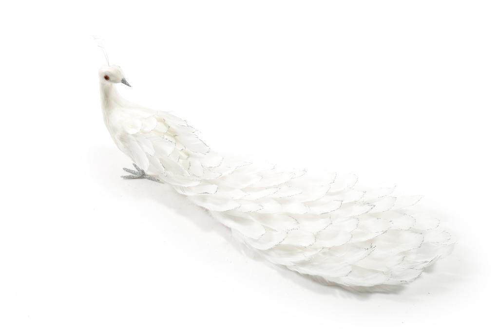 PAVONE BIANCO IN PIUME 60X10XH24CM ART.62229 - PAVONE BIANCO IN PIUME 60X10XH24CM ART.62229 -