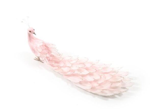 PAVONE ROSA IN PIUME 60X10XH24CM ART.62236 -