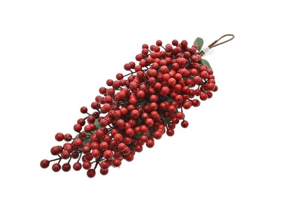 DIETROPORTA C/BACCHE ROSSO ART.306175172