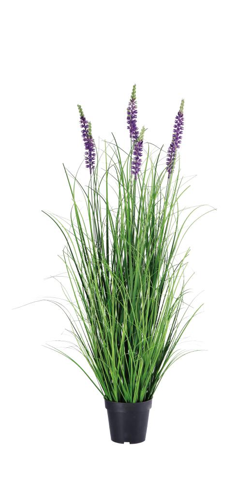 VASO C/LAVANDA XDECORAZ DIAM17XH120 ART.107383 VASO C/LAVANDA XDECORAZ DIAM17XH120 ART.107383