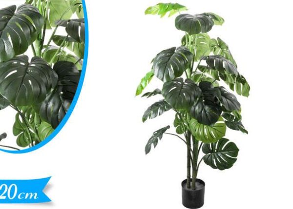 PIANTA MOSTERA 3 TRONCHI ART.861080