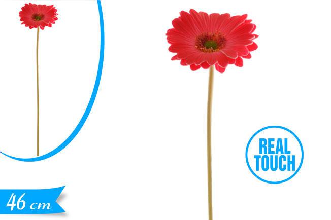 GERBERA SILICONE ROSSA 46CM ART.873142 GERBERA SILICONE ROSSA 46CM ART.873142