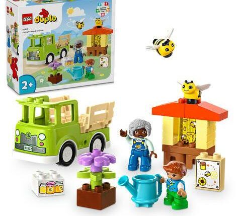 LEGO DUPLO CURA DI API E ALVEARI 10419