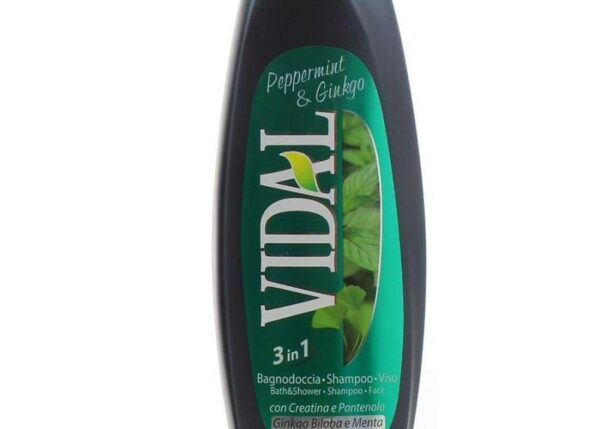 VIDAL BAGNO 500 ML MINT&GINKGO