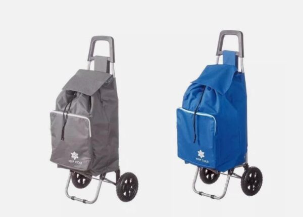 CARRELLO SPESA +TASC TERM 2C 38X36X97 ART.64350