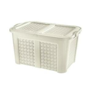BAULE ARIANNA ANGORA