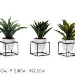 VASO C/PIANTA E BASE NERA Ã˜9.5XH22.5CM 3ASS. ART.747190