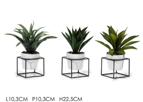 VASO C/PIANTA E BASE NERA Ã˜9.5XH22.5CM 3ASS. ART.747190