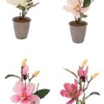 VASO C/MAGNOLIA 2F+2B A4C DIAM9XH33 ART.59006