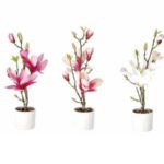 VASO C/MAGNOLIE ASS3COL DIAM10XH46 ART.74887