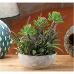 VASO C/LAVANDA ASS4COL DIAM8XH17 ART.85439