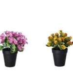 VASO CON PIANTA XDEC A2MOD D10XH22 ART.86371