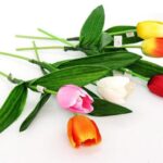 TULIPANO STELO 6 COL. ASS. ART.315155