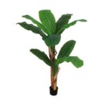 BANANO VASO X DECORAZIONE D17XH160 ART.112219