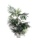 KENZIA VASO X DECORAZIONE D15XH160 ART.112225