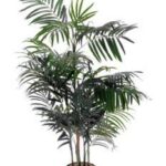 KENZIA VASO X DECORAZIONE D17XH200 ART.112227