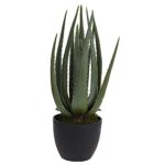 PIANTA ALOE 25X45CM ART.317220190