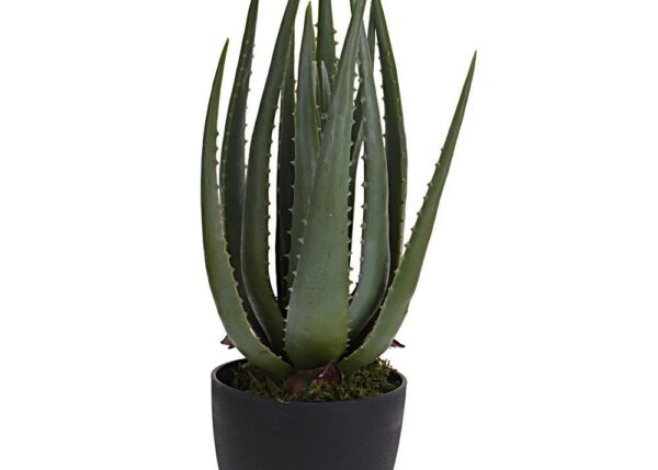 PIANTA ALOE 25X45CM ART.317220190
