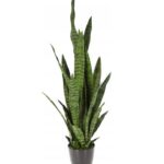 PIANTA SANSEVIERIA 92CM ART.317100600