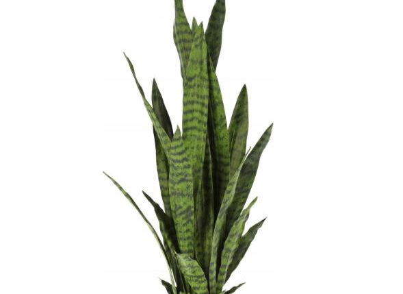 PIANTA SANSEVIERIA 92CM ART.317100600