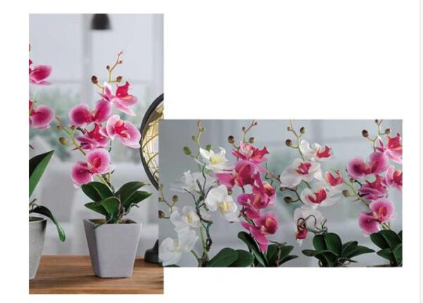 VASO C/ORCHIDEA 5F A 4 COL. DIAM8XH34 ART.59002
