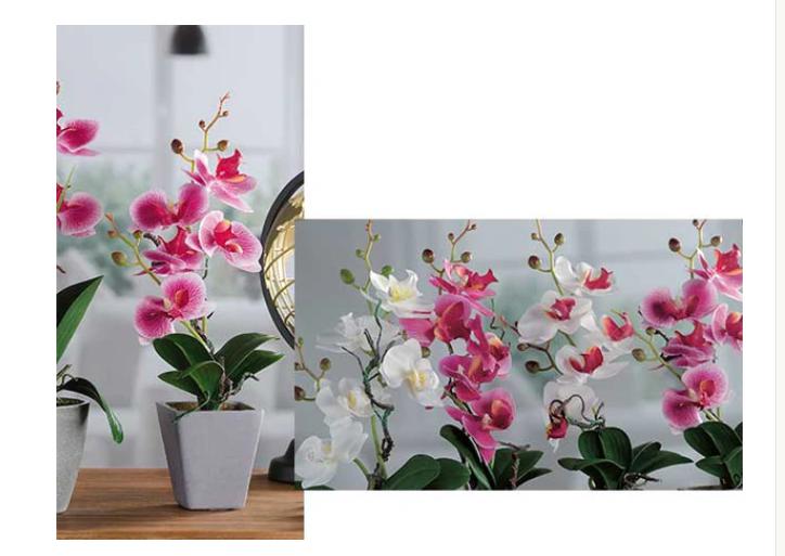 VASO C/ORCHIDEA 5F A 4 COL. DIAM8XH34 ART.59002 VASO C/ORCHIDEA 5F A 4 COL. DIAM8XH34 ART.59002