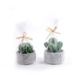 CANDELA PIANTA GRASSA CON CEMENTO ASS. - H10/12X9.5CM ART.48492 -