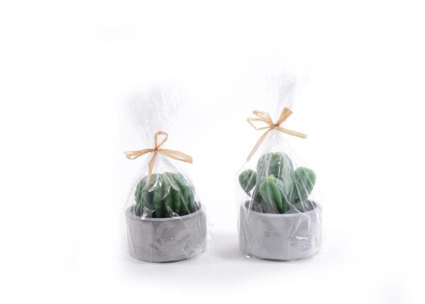CANDELA PIANTA GRASSA CON CEMENTO ASS. - H10/12X9.5CM ART.48492 -