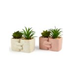 PIANTINA IN VASETTO HUG IN PLASTICA E CEMENTO 10.5X9.6XH.9.5 CM DESIGN ASS. ART.26098 -